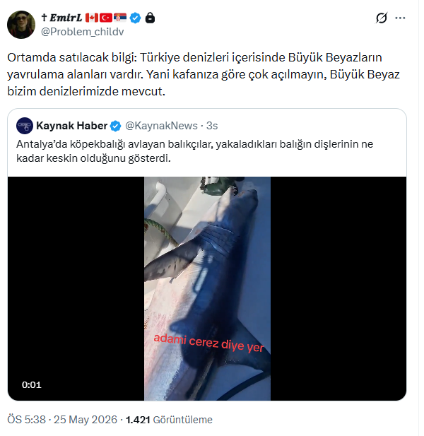 kaan_fox3✈️ 🇹🇷 tweet media