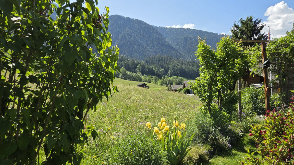 Alpenweerman's tweet photo. En de 2e tropische dag is een feit in #Termen met een Tx van 31.0°C . Nog warmer is het in het dal met bijna 33°C. Onze N-Italiaanse zuiderburen doen er nog een schepje bovenop met lokaal bijna 36°C (Castello d'Agogna (106m / 35.9°C) https://t.co/jz2sJYnNKl