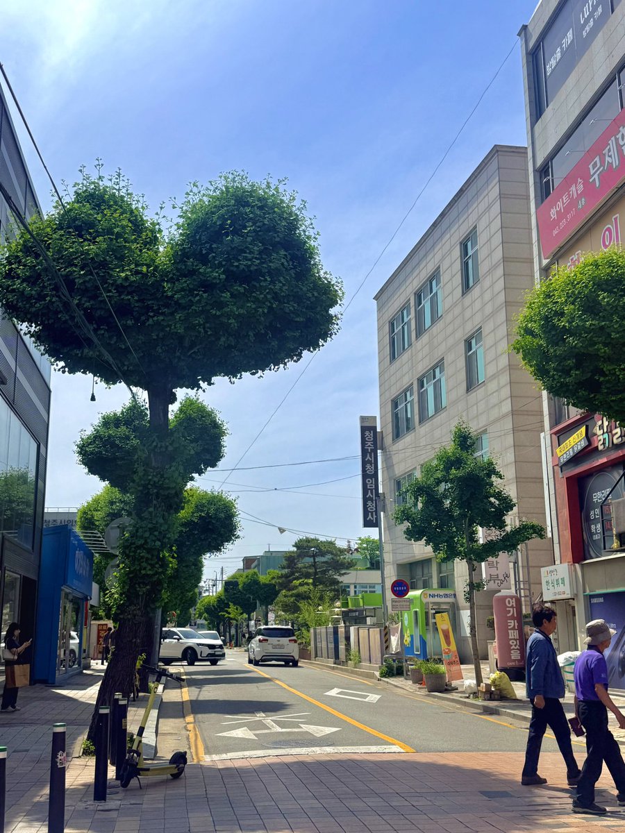 upohamm's tweet photo. 청주가면 꼭 먹어야 하는 거 아르켜줄께
느루밥집 먹고
하���나무길 보고
만두 시켜 먹고
왕천파닭 먹어주면 돼 🐷🤞👋
#피에스타내맘에희승이꾹삼킨채 https://t.co/o55AVU9oEF