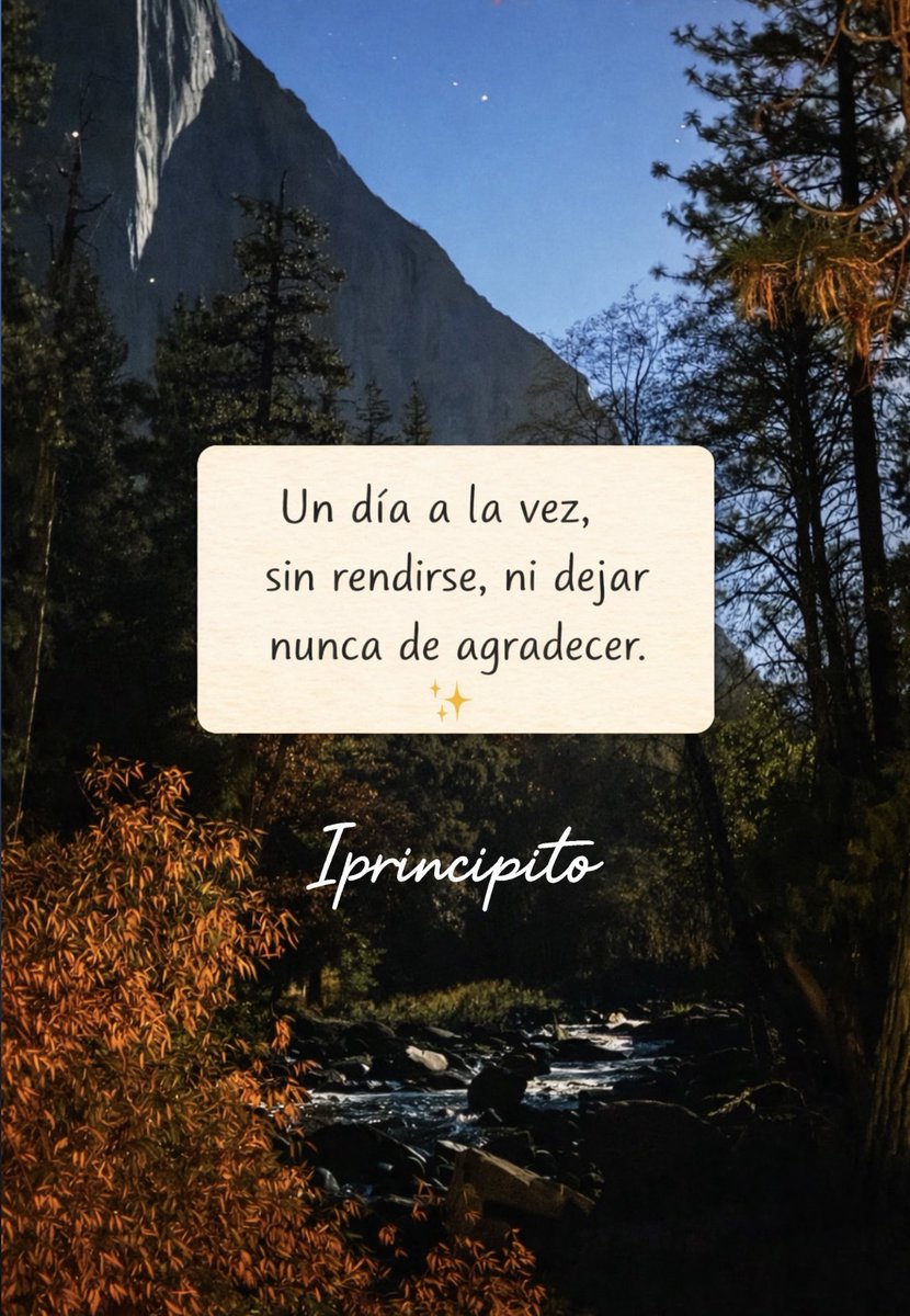 El Principito ✨ tweet media