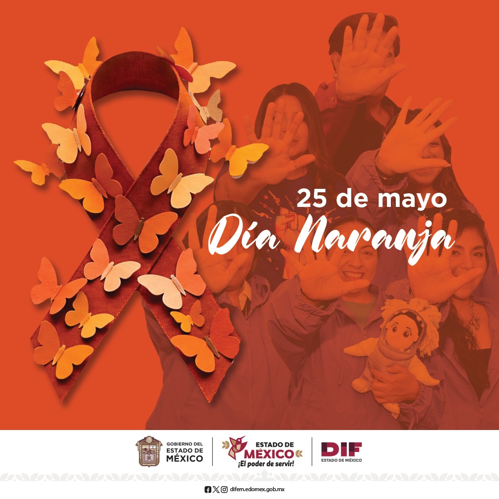 DIF Estado de México tweet media