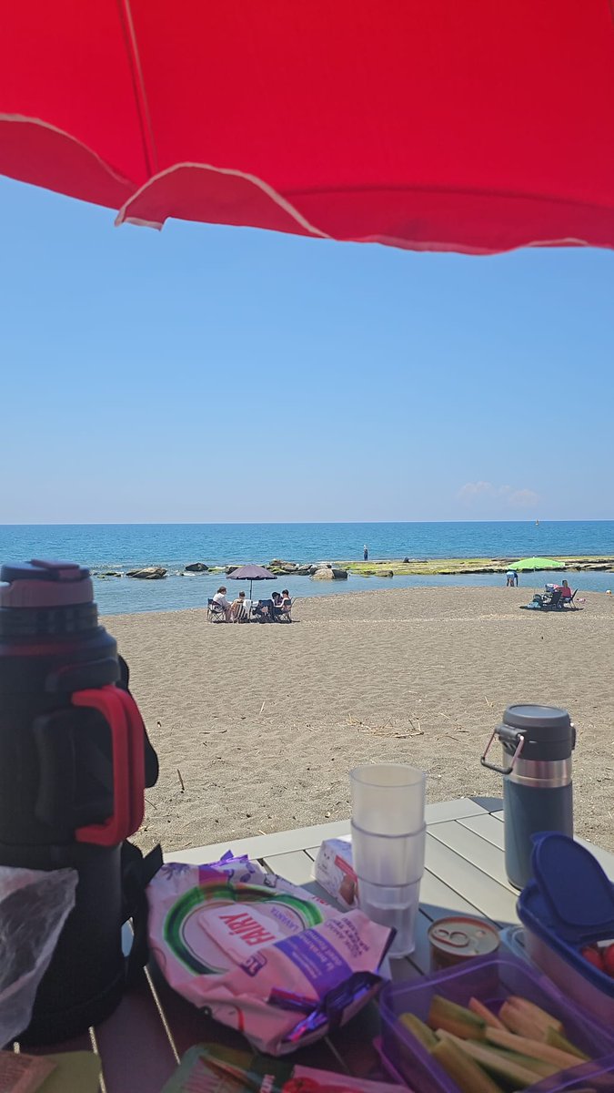 Kampçıbaşı Alpin 🏕️🌲🍀☀️ tweet media
