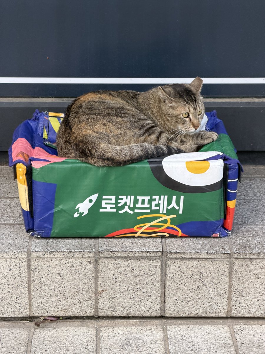 갈비¹⁹⁹⁹ tweet media