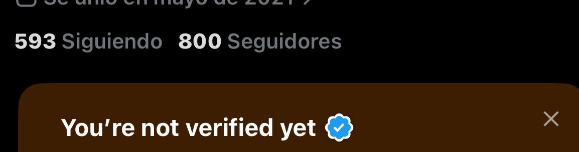 alessie 𐤀 tweet media