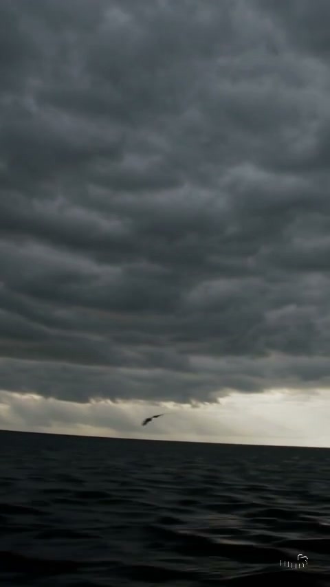 bahemlohman's tweet photo. Let calm inspire you https://t.co/7T7leDuAlR