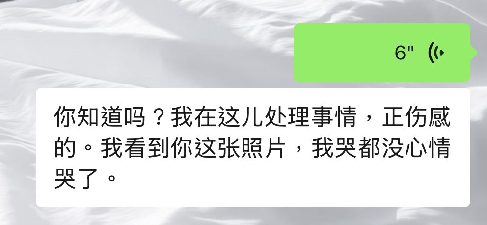 猫什么的最可爱了 tweet media