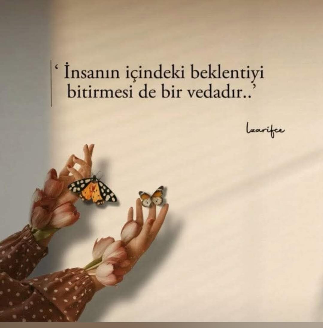 Sema Arslanparcası tweet media