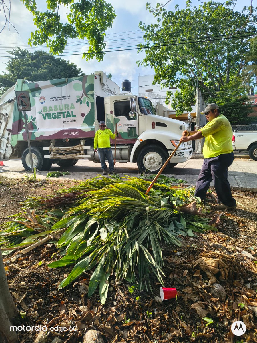 rt_denuncia's tweet photo. 🔰 Agradecemos a @ServPublicosBj  por la atención y el seguimiento al reporte 65095 
Ya se llevó a cabo la brigada de limpieza en el parque de la Sm. 25, Mz. 17 https://t.co/tm84H5IRAM