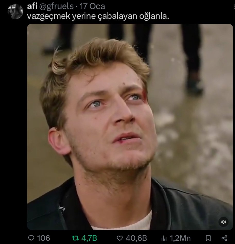 elif tweet media