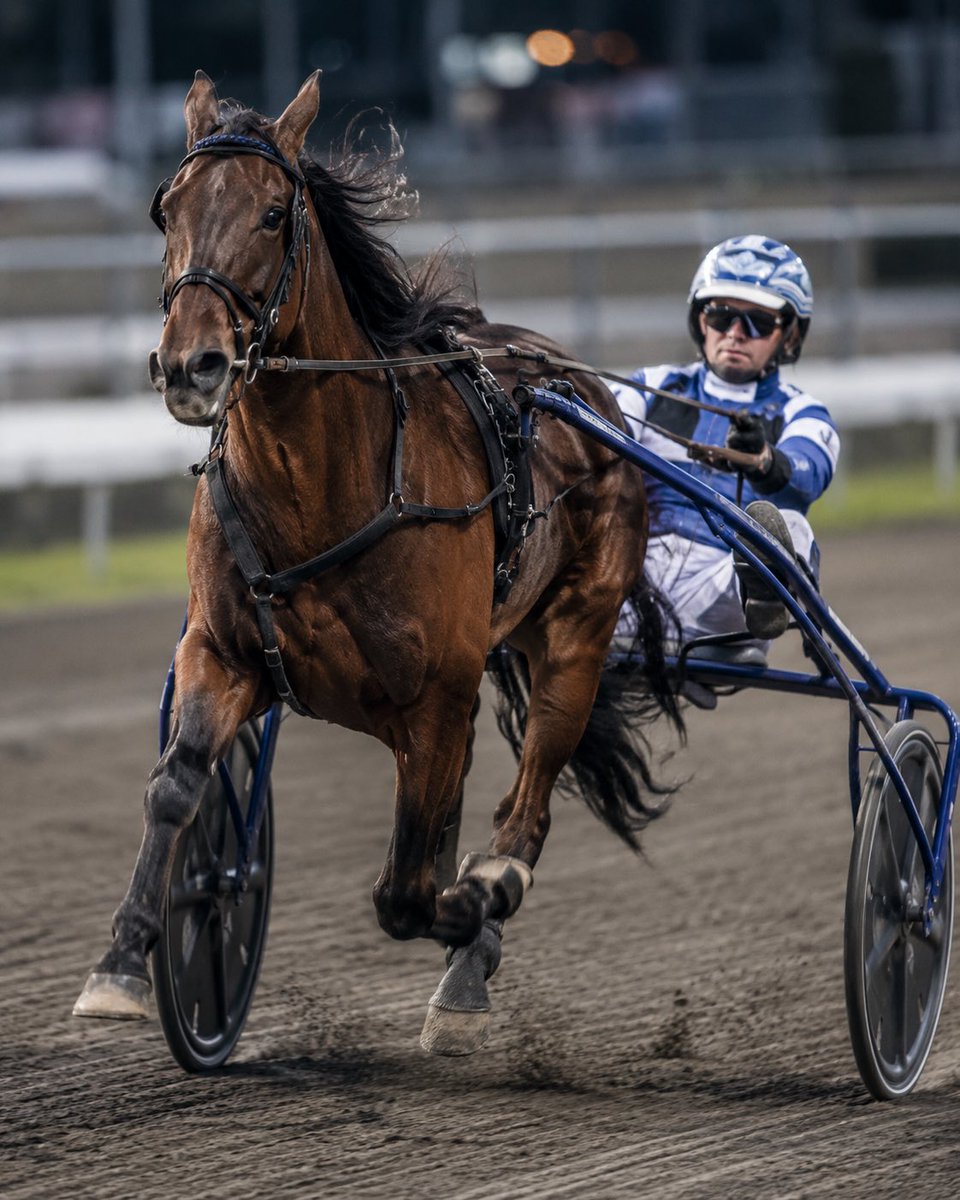 Bassed18's tweet photo. V85-andel idag 🔥

Spetsigt system: 1 stark spik + 1 värdespik.
Djupanalys i alla lopp – vi jagar värde, inte bara favoriter.

Budget ca 3000 kr
3–4 andelar.

DM om du vill med 🐎💰 https://t.co/kpoxQC9d0q