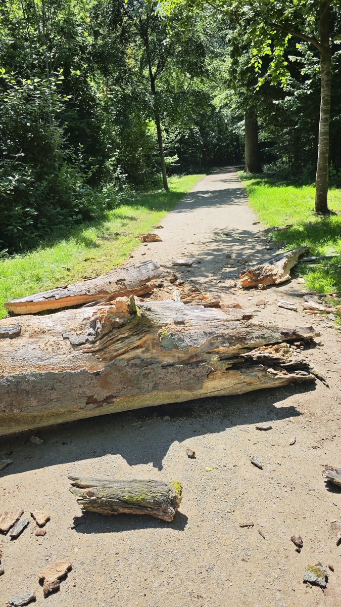 Onnetar's tweet photo. Der Weg eines Fortuna-Fans 😆 https://t.co/bXCcf7z1XX