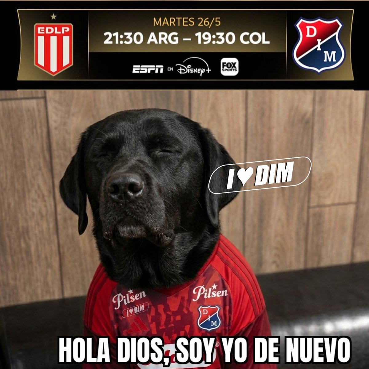 I ♥ DIM® tweet media