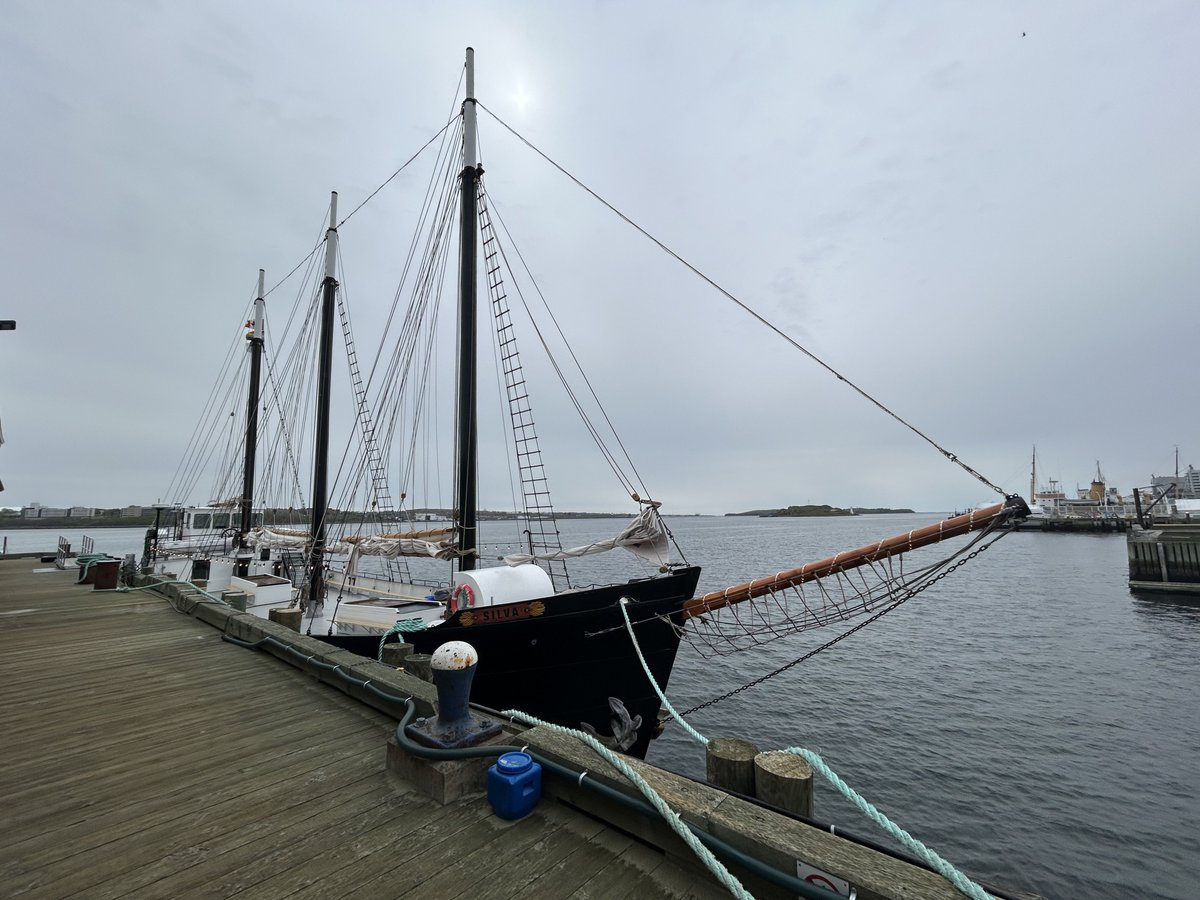stickie444's tweet photo. https://t.co/EzPapz6ZbO