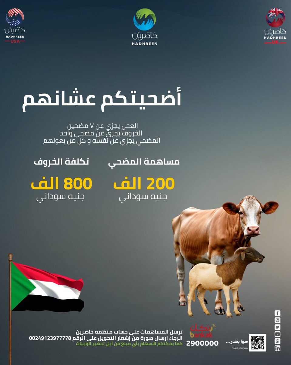 Hadhreen_org's tweet photo. Greetings to all,

Udhiya for Them Campaign
The door is still open to participate in this year’s Udhiya campaign, through which we aim to support camps for the displaced families from El Fasher, in addition to central kitchens in Khartoum State and a number of underprivileged families

One calf share covers seven donors, while one sheep is offered on behalf of a single donor
(The Udhiya counts for the donor and all those under their care)

Contribution per donor share in a calf:
* 200,000 Sudanese Pounds
* 50 USD / EUR / GBP
* 200 AED / SAR

Cost of one sheep:
* 800,000 Sudanese Pounds
* 200 USD / EUR
* 150 GBP
* 750 AED / SAR

You may also contribute with any amount toward the preparation of meals.
Please send a copy of transaction via WhatsApp to: 00249123977778

To Donate:
From Sudan, via Bankak  
Account Number: 2900000  
Ref: Udhiya

United States, via Zelle  
Hadhreen.usa@gmail.com 
Reference: Udhiya/اضحية

From all over the world, including the United States, via PayPal  
@hadhreenusa  
Reference: Udhiya/اضحية

United Kingdom, via Zempler  
Account Name: Hadhreen Ltd  
Account Number: 06176414  
Sort Code: 08-71-99  
Reference: Udhiya/اضحية

Ireland, via Revolut
Account Name: Abodjana Mohammed Kheir
@abodjaxzi7
Reference: Udhiya/اضحية

To donate from Egypt / Qatar / Saudi Arabia / UAE
Please contact us via WhatsApp at: +249123977778

#Together_We_Can