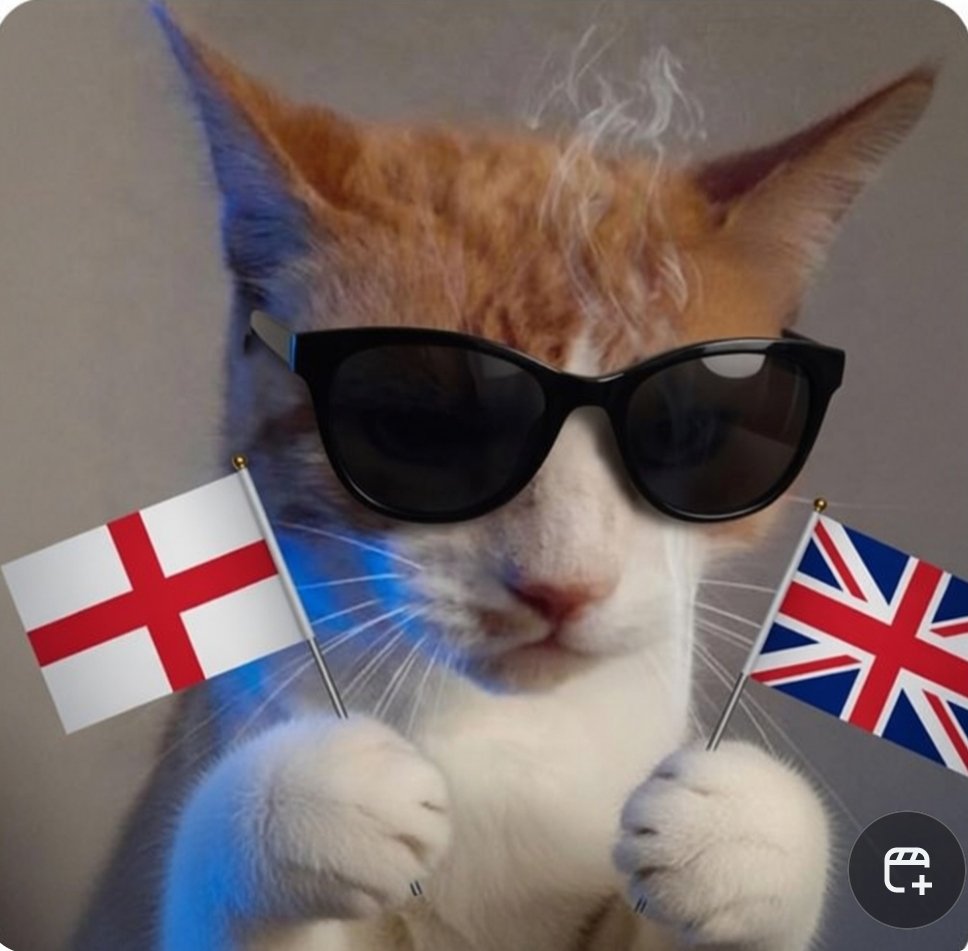 Jess 🏴 tweet media