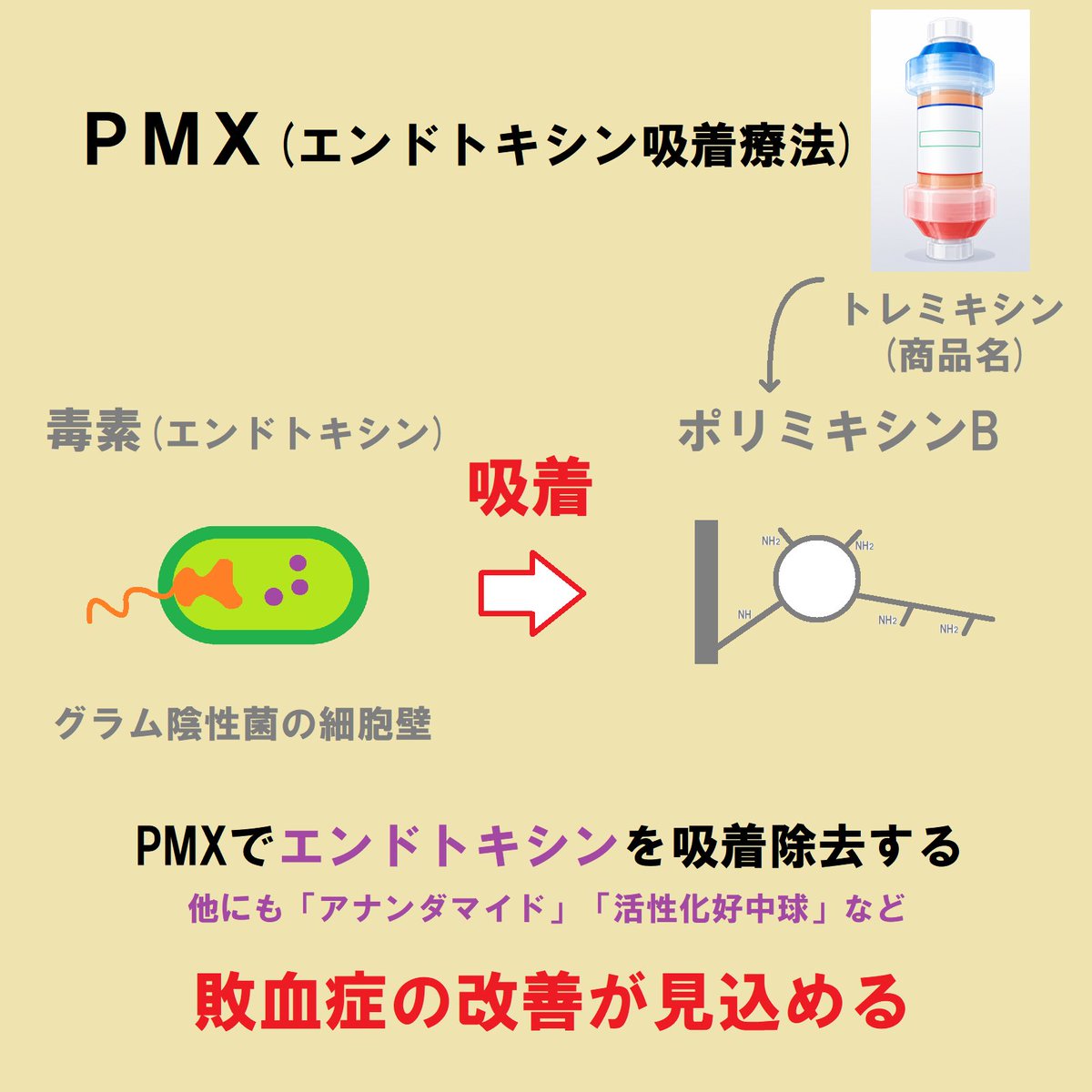 ce7meliteracy's tweet photo. エンドトキシン吸着の「PMX」をまとめたよ！👏👏 https://t.co/9aw6qx99ZT