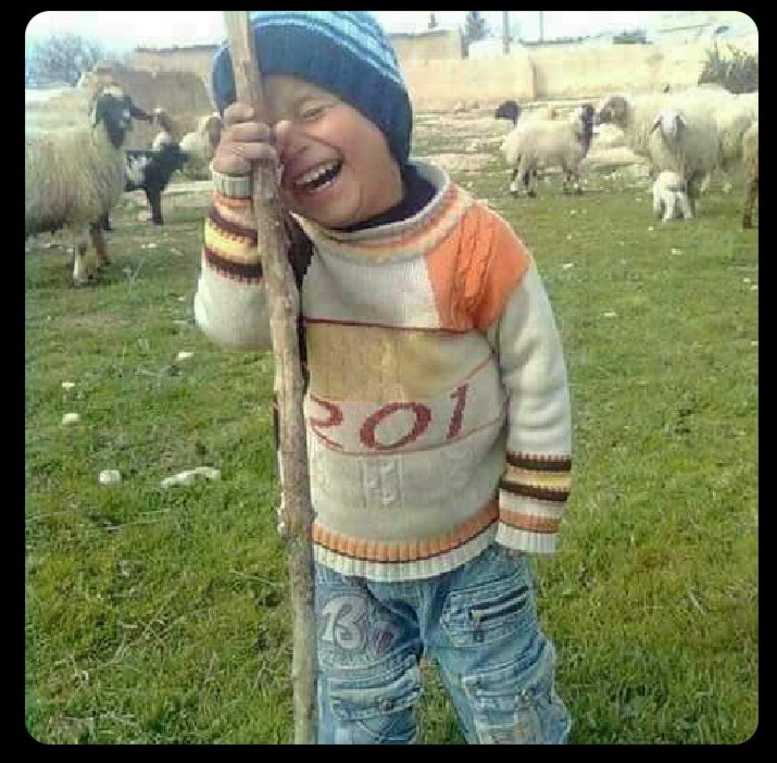 The New Age Grootman tweet media