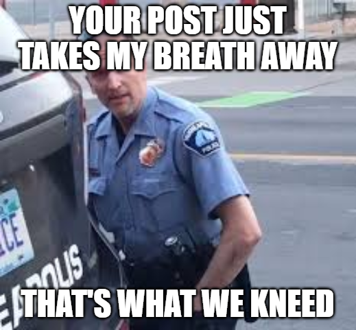 meme2d2 tweet media