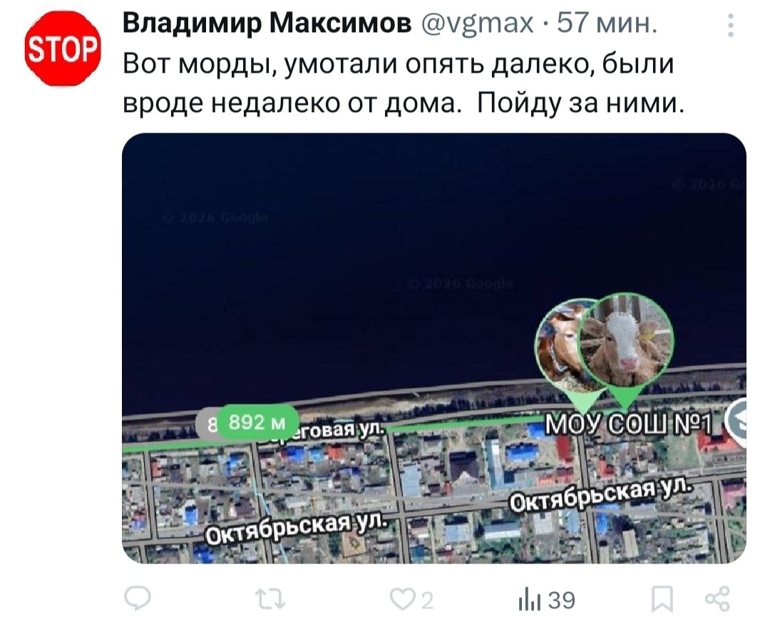 Велоговорун tweet media