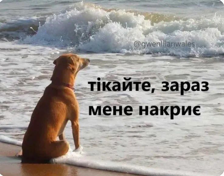 Гіль🔪 tweet media