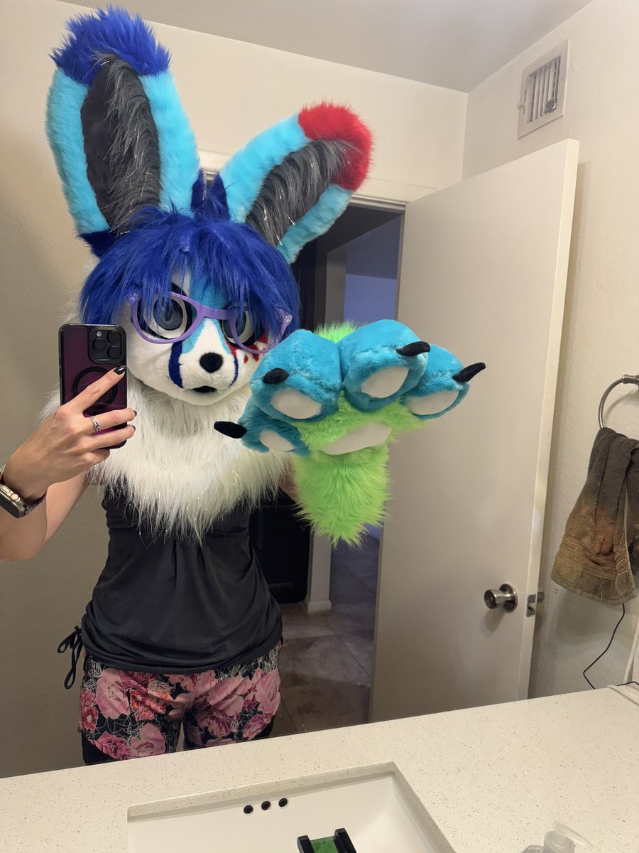 Splat Fennec 🔜 AC tweet media