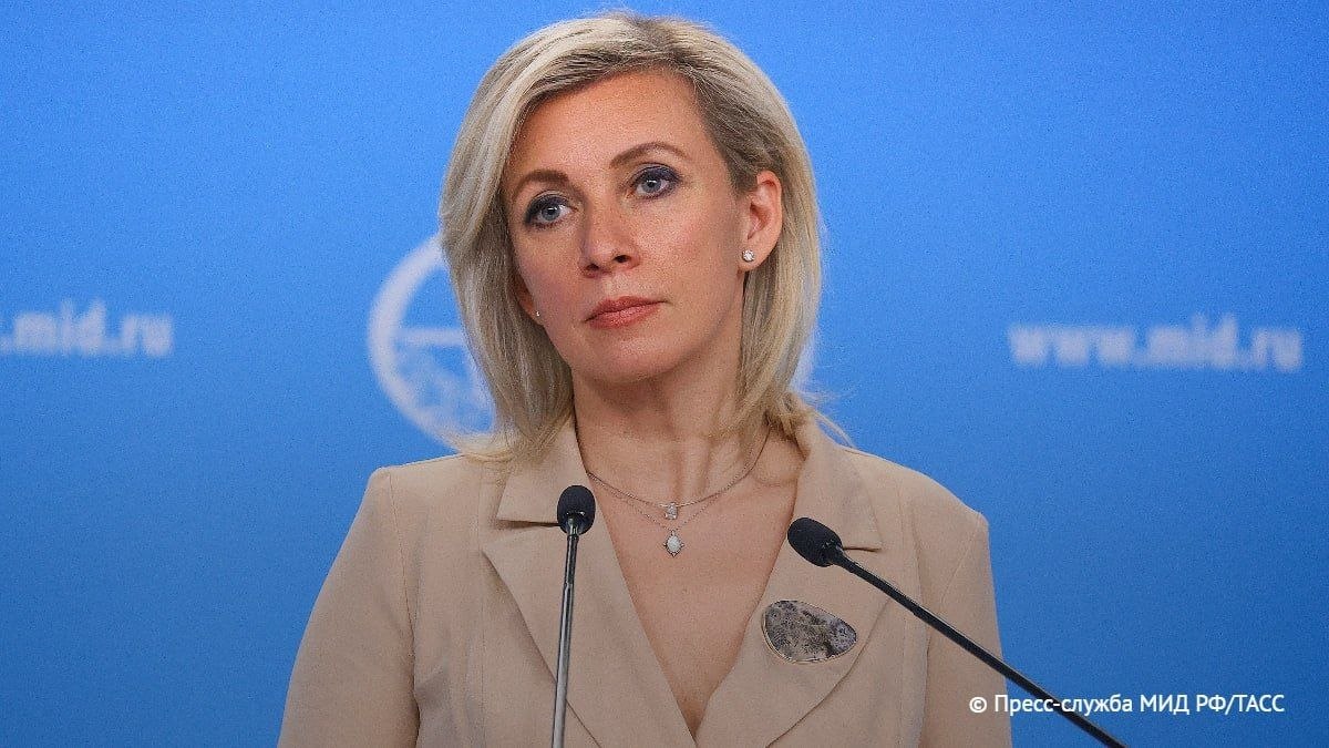 свет tweet media