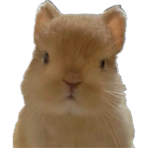 띠롱이.. tweet media