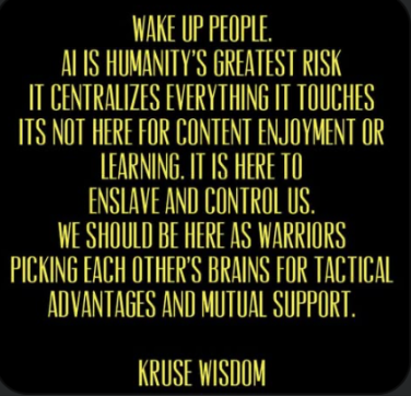 ☣️ Pleb Kruse = BTC foundationalist in exile 🟩🔆 tweet media