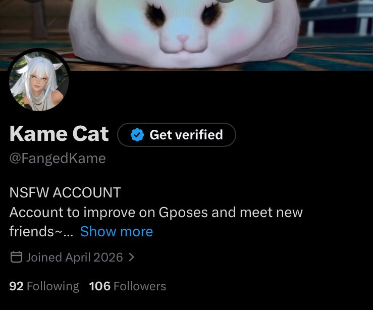 Kame Cat tweet media
