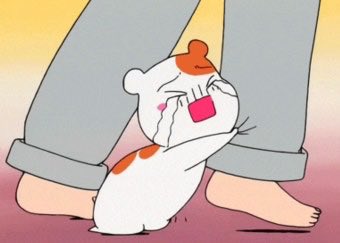 순이 tweet media