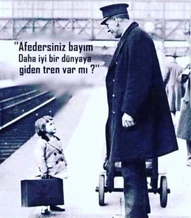 Timur tweet media