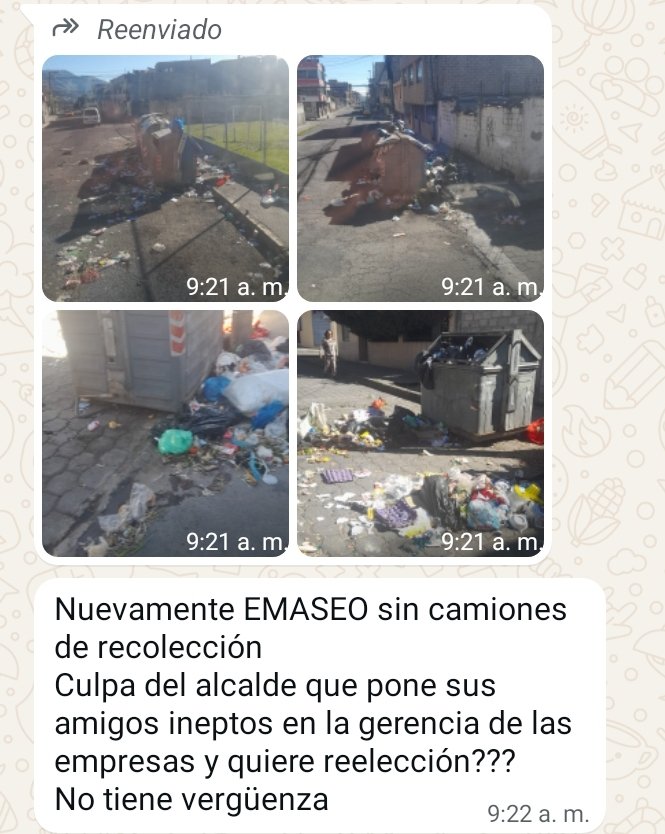 Jonnathan Carrera tweet media