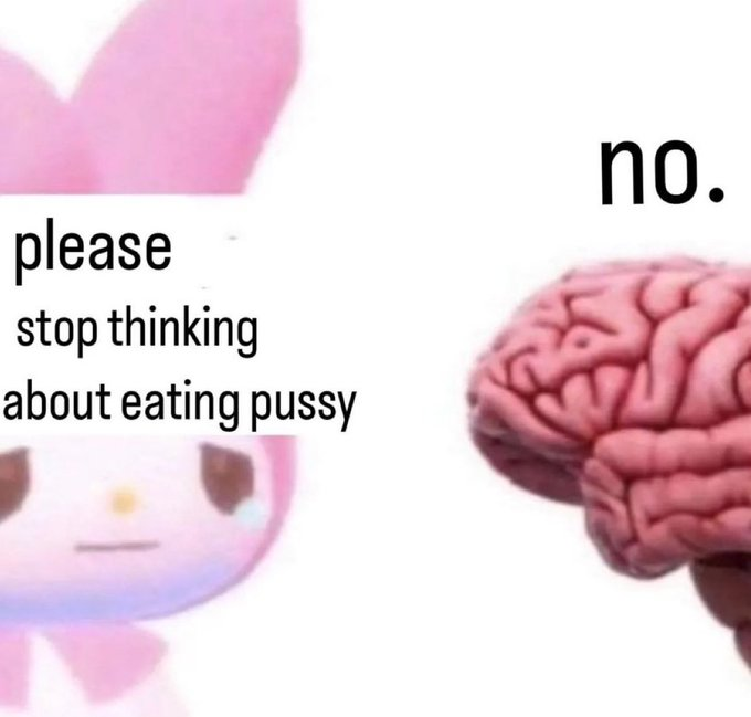 memes 💜 tweet media