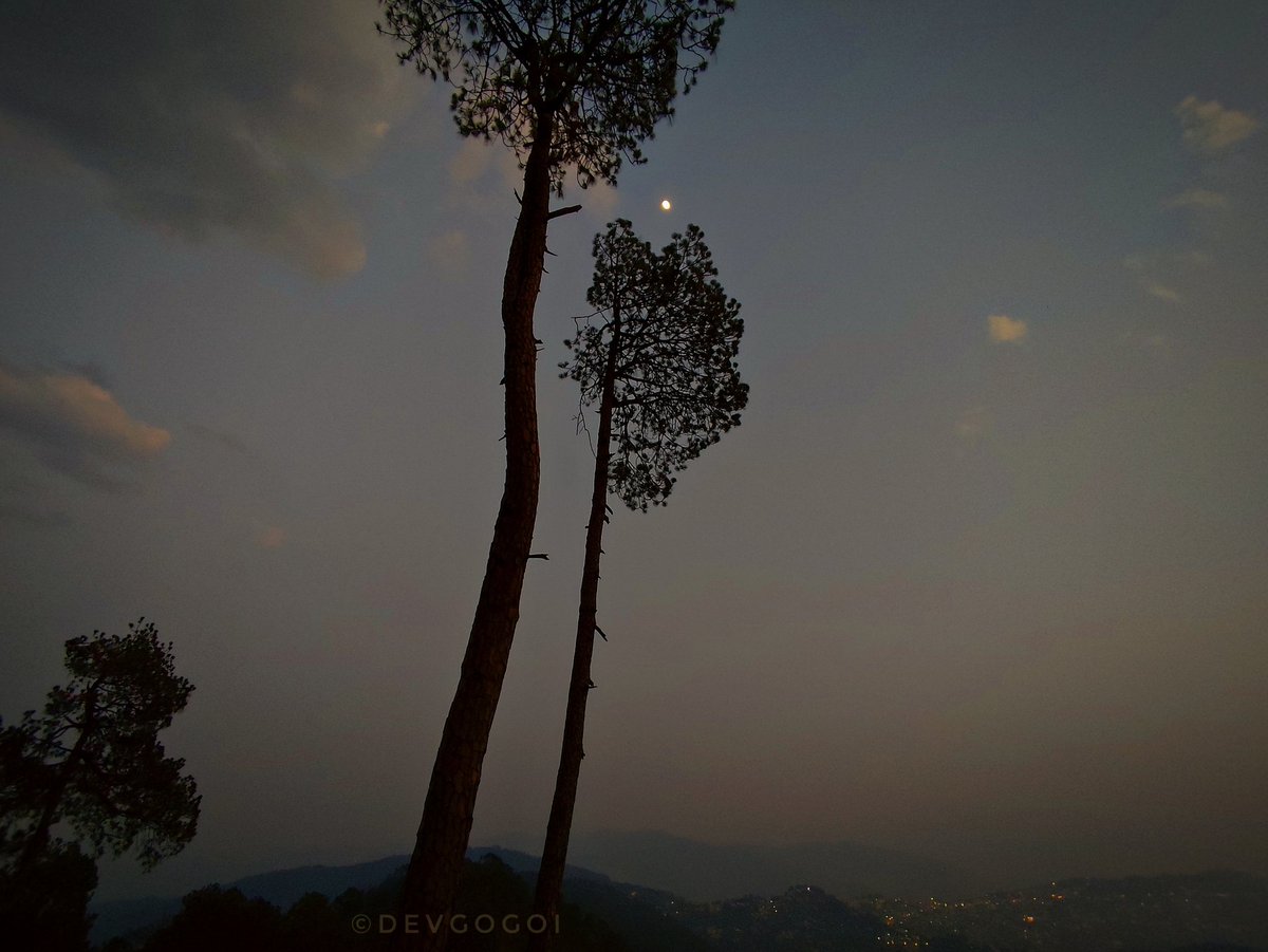 devkgogoi's tweet photo. Pre-monsoon clouds and a waxing moon rise above towering pines and #Almora city lights at dusk, seen from #KasarDevi Temple. https://t.co/TYzD90GQZc