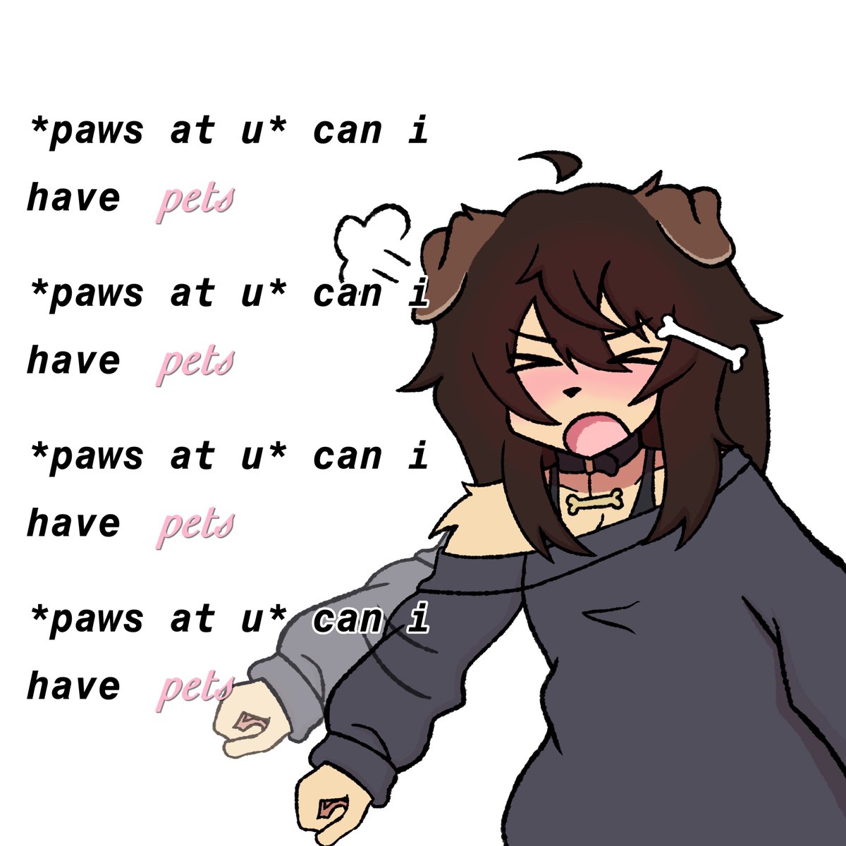 puppy🦴 tweet media