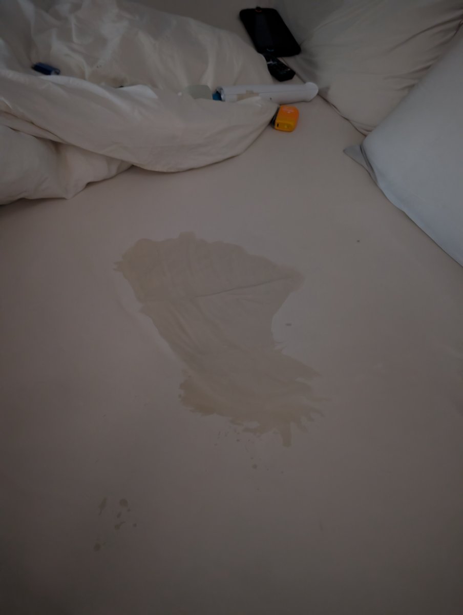 paddedzebra's tweet photo. That's not pee. https://t.co/V9vqf2pghs