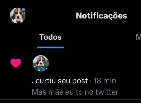 sub five fodida xoxada da silva tweet media