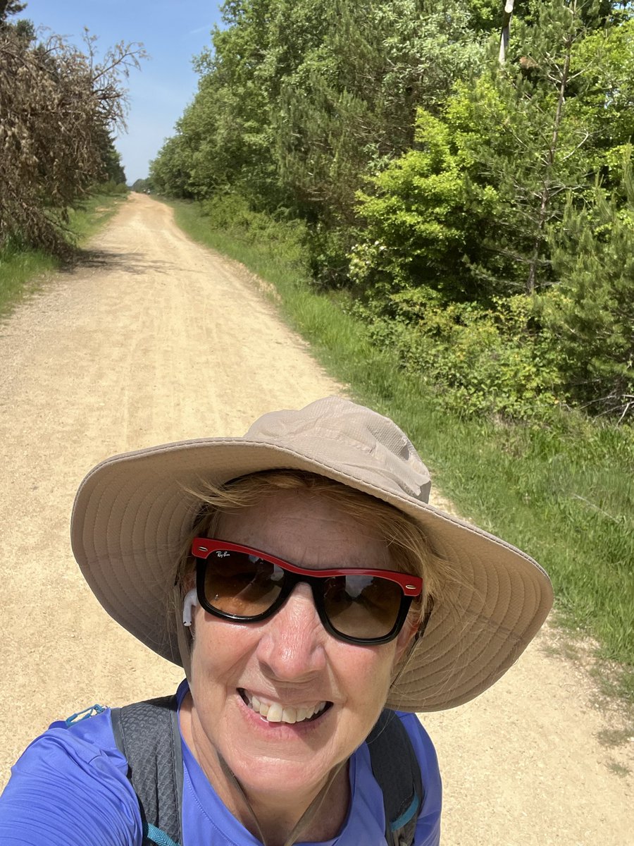 Beth Azor, “Canvassing Queen” tweet media