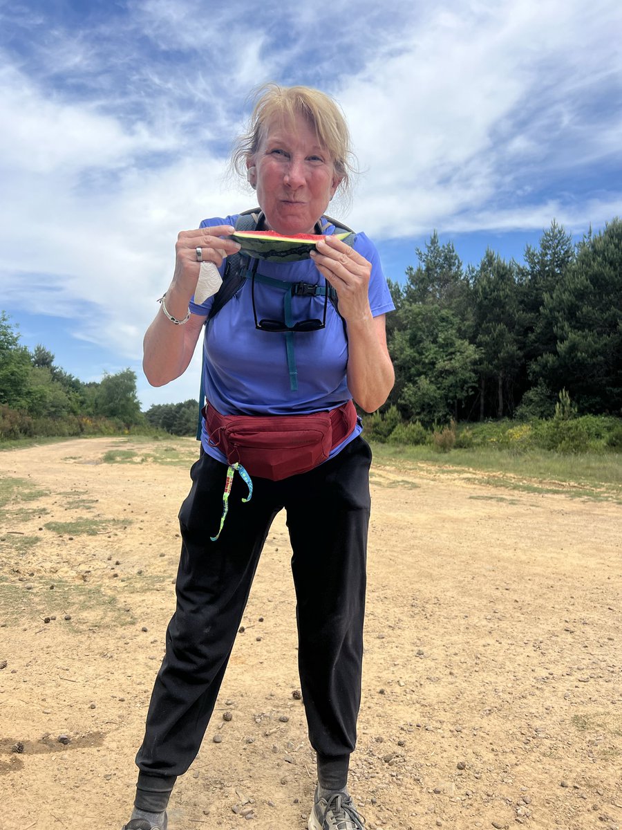 Beth Azor, “Canvassing Queen” tweet media