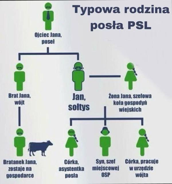 Starszy zgred tweet media
