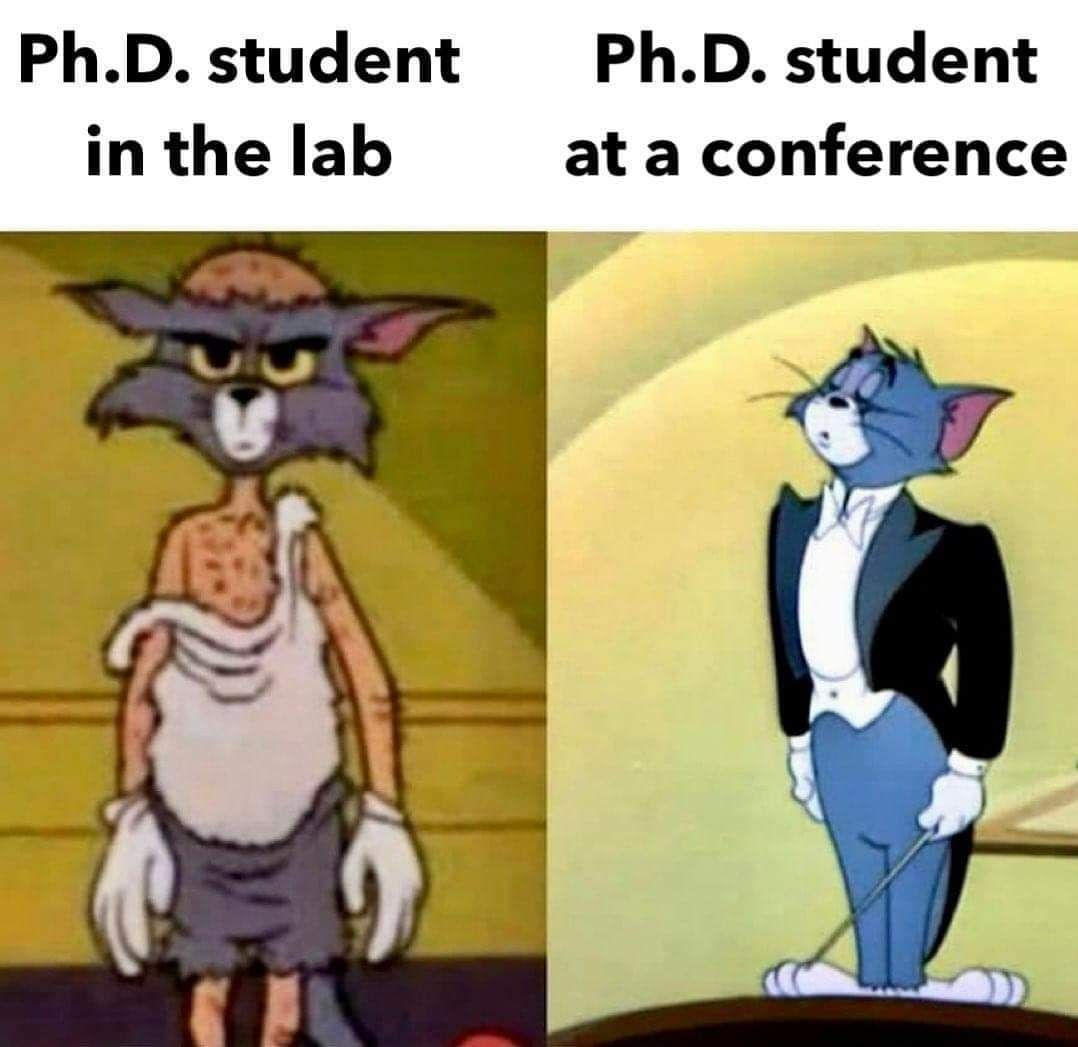 Scholarship for PhD tweet media