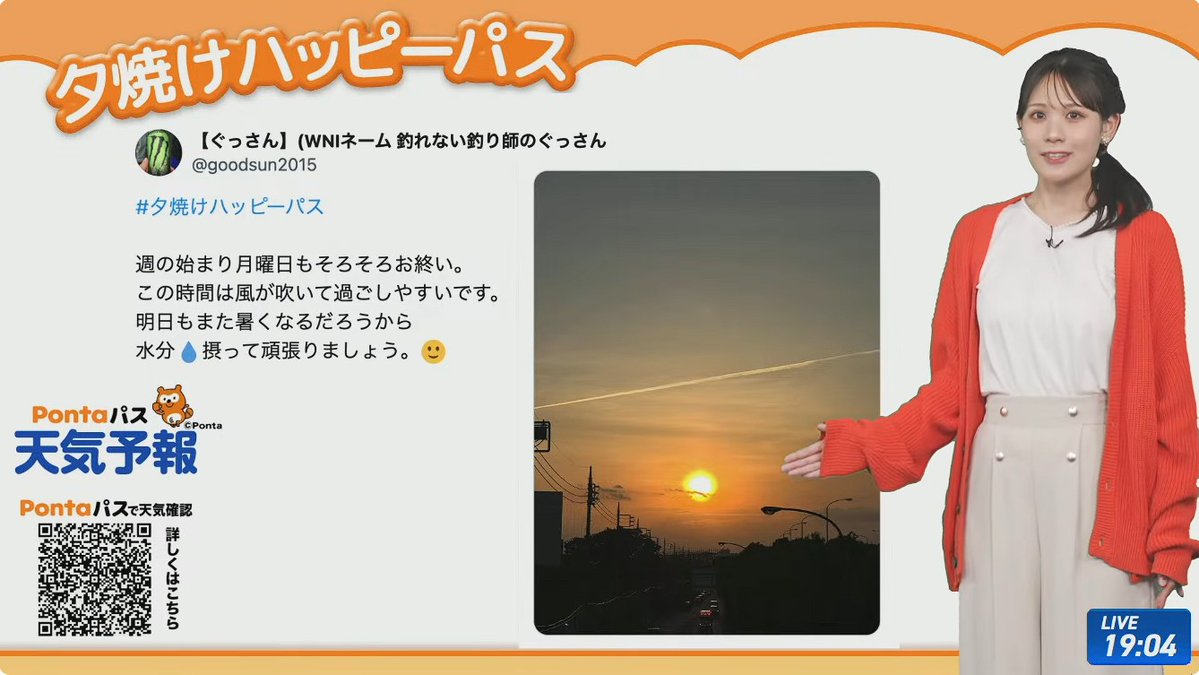 日刊みーちゃんねる Daily Mii Channel tweet media