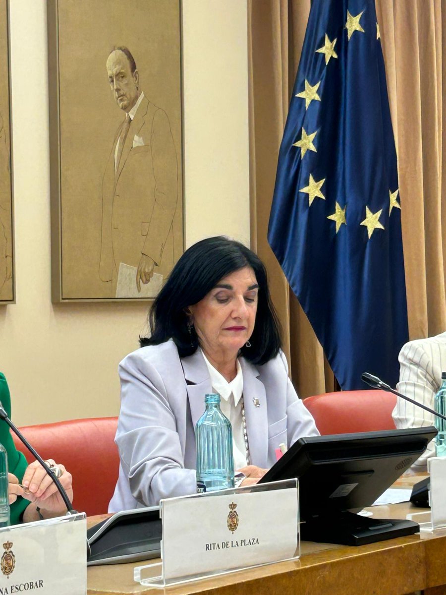 OdSalud's tweet photo. @F_Armengol @Congreso_Es @PatriDelOlmo24 @EstComunicacion @urjc @CarinaEscManero @pacientesPOP @Farmaceuticos_ 🎤 Raquel Rodríguez Llanos, vicepresidenta I de @CGEnfermeria, aborda el papel de la enfermería en unos cuidados con perspectiva de género, poniendo el foco en la necesidad de visibilizar, reconocer y fortalecer su valor estratégico.

#IgualdadEnSalud https://t.co/4Lft5kROpR