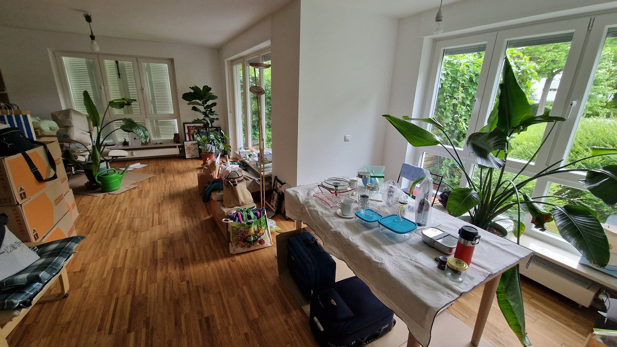 ErgBoris's tweet photo. Moving into... what counts as my 25 more or less permanent residence since I landed in this world. Green inside and out, bright and cozy. Little by little and we will make it our new 🏠. https://t.co/WiUKeIvvLn