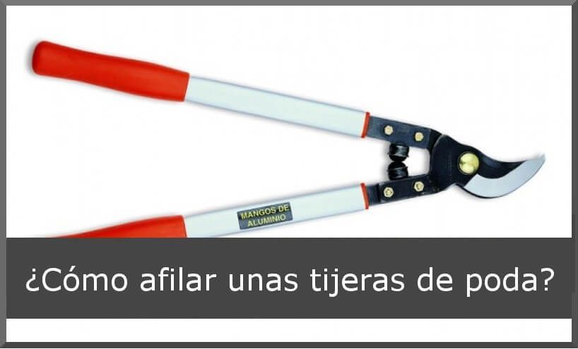 comercturro's tweet photo. ¿Tus tijeras de podar ya no cortan bien? ✂️🌿 

Te explicamos cómo afilarlas paso a paso y mantenerlas como nuevas 👇 
https://t.co/yQ5u9WwIzL
#Jardineria #Poda #TipsJardineria #Herramientas https://t.co/sDHC8PtXR1