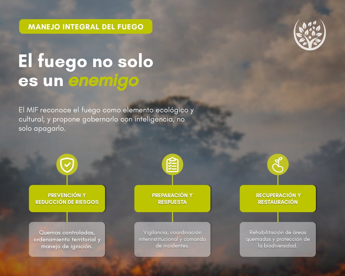 fonabosque's tweet photo. El MIF es un enfoque sistémico que integra prevención, monitoreo, respuesta y restauración, adaptado a la ecología, la cultura y los saberes locales de cada territorio.

#manejointegraldelfuego
#Fonabosque https://t.co/o1cpWt5gdK