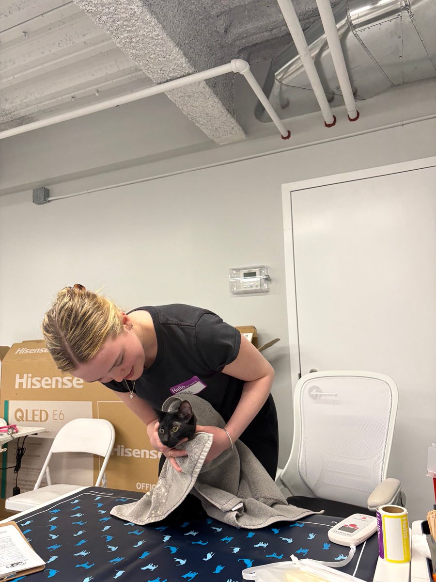thestreetdogco's tweet photo. At their last clinic, our NYC team was able to support 10 pet parents, 12 pets and distributed 3 spay/neuter vouchers! Thank you to our amazing volunteers and community partners including 
@BrGround and Positive Tails. https://t.co/2UkvjaKP9T