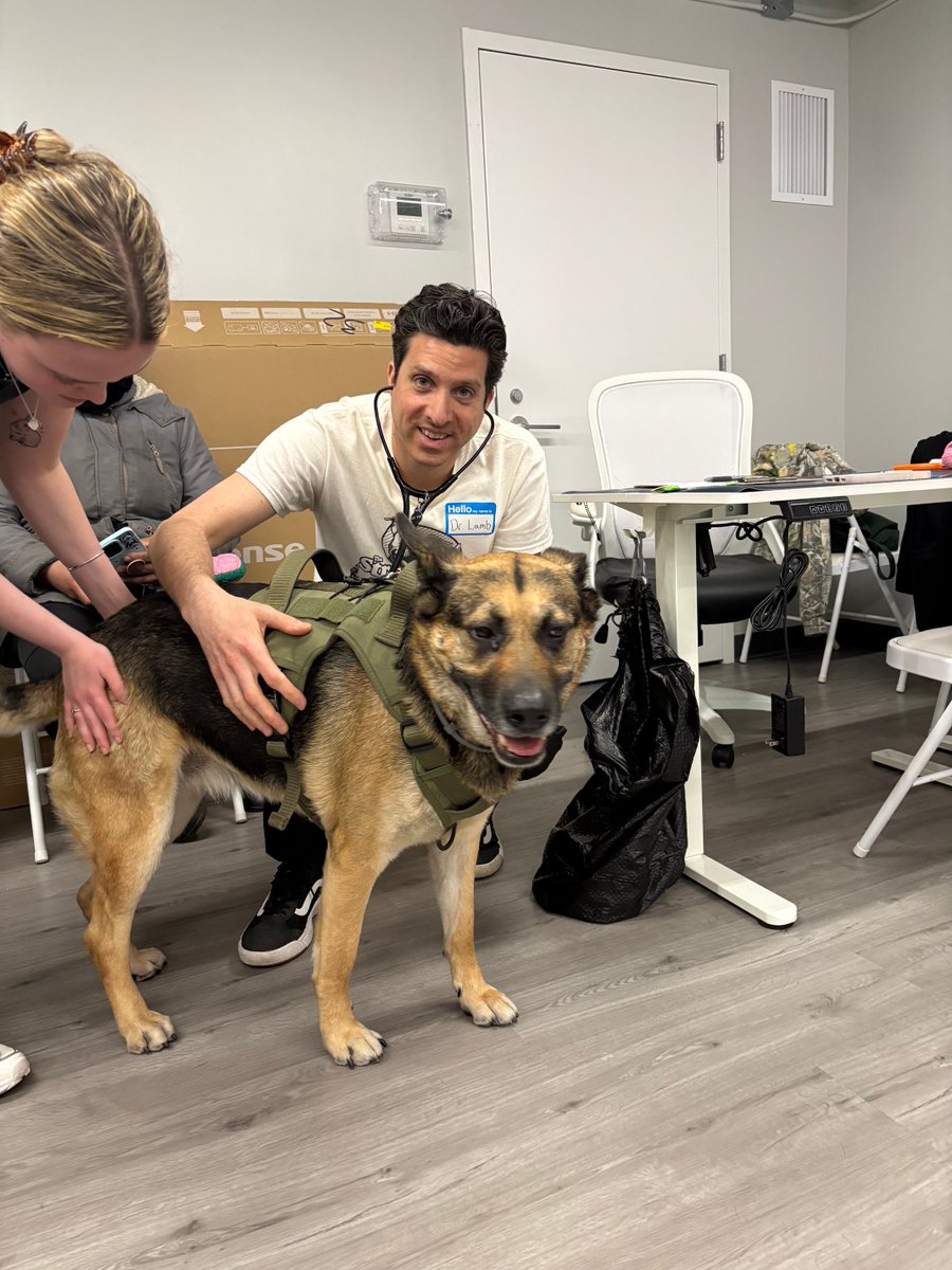 thestreetdogco's tweet photo. At their last clinic, our NYC team was able to support 10 pet parents, 12 pets and distributed 3 spay/neuter vouchers! Thank you to our amazing volunteers and community partners including 
@BrGround and Positive Tails. https://t.co/2UkvjaKP9T