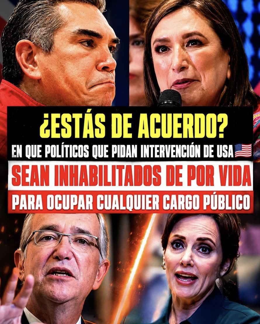 Polítik MX tweet media