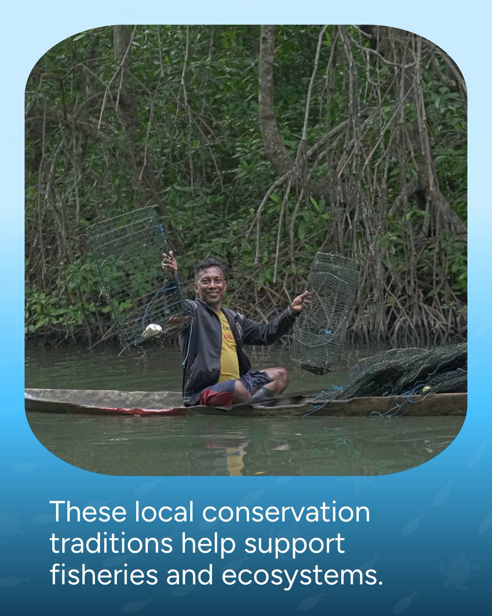 Wave_Browser's tweet photo. Traditional knowledge and community action are helping protect Indonesia’s oceans for future generations. 🌊

Across coastal communities, local conservation systems are being revived to support marine ecosystems, strengthen fisheries, and promote long-term ocean resilience.

Protecting the ocean starts with people who know it best.

#WaveBrowser #OceanConservation #MarineProtection #Sustainability #SaveTheOcean